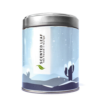 "Winter Cactus" Tea Tin