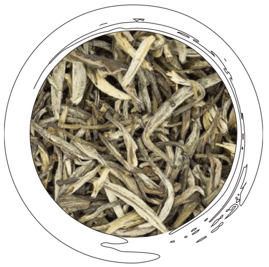 Jasmine Silver Needle - White Tea